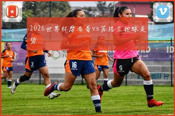 2026世界杯摩洛哥vs苏格兰控球走势
