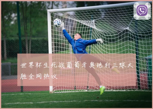 世界杯生死战葡萄牙奥地利三球大胜全网热议