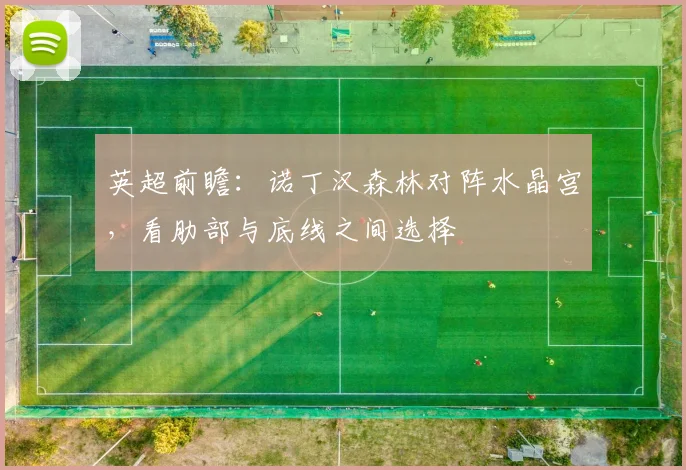 英超前瞻：诺丁汉森林对阵水晶宫，看肋部与底线之间选择