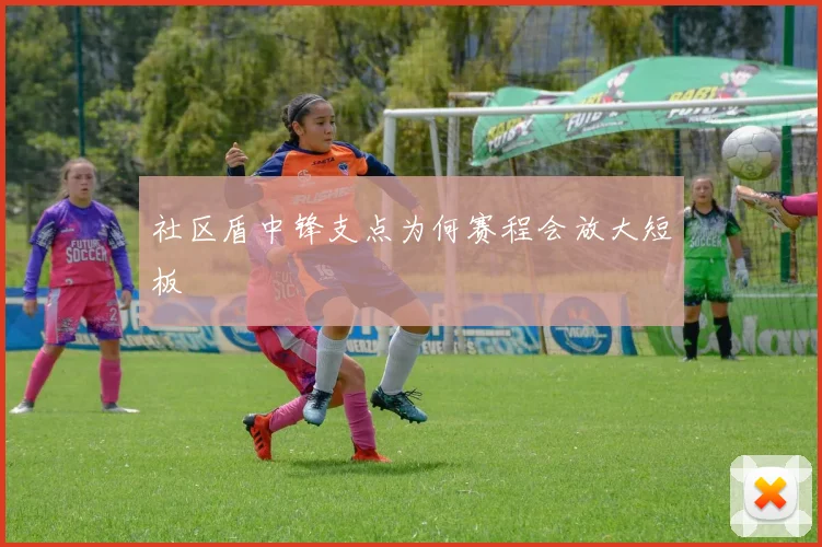 社区盾中锋支点为何赛程会放大短板