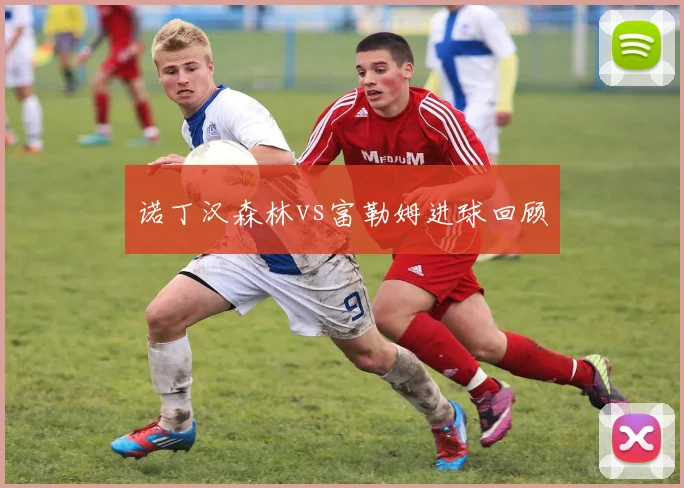 诺丁汉森林vs富勒姆进球回顾