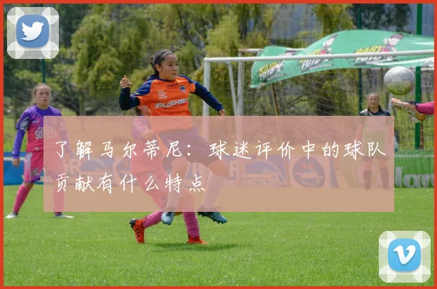 了解马尔蒂尼:球迷评价中的球队贡献有什么特点