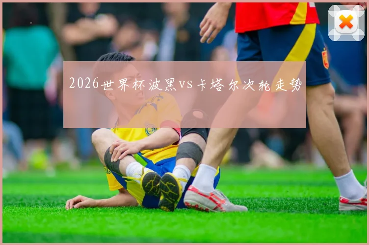 2026世界杯波黑vs卡塔尔次轮走势