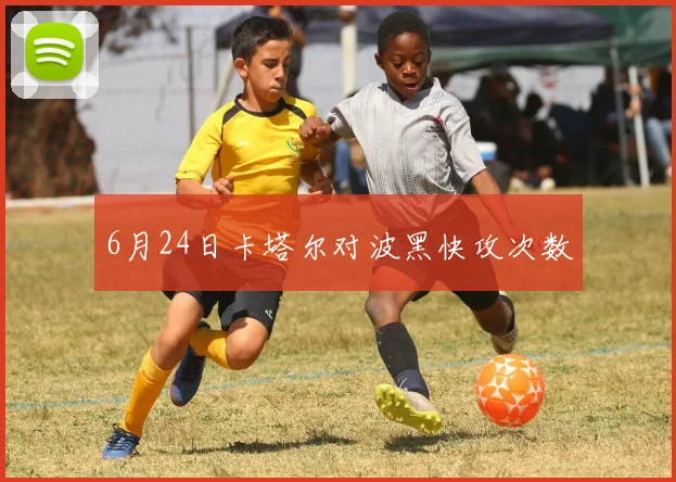 6月24日卡塔尔对波黑快攻次数