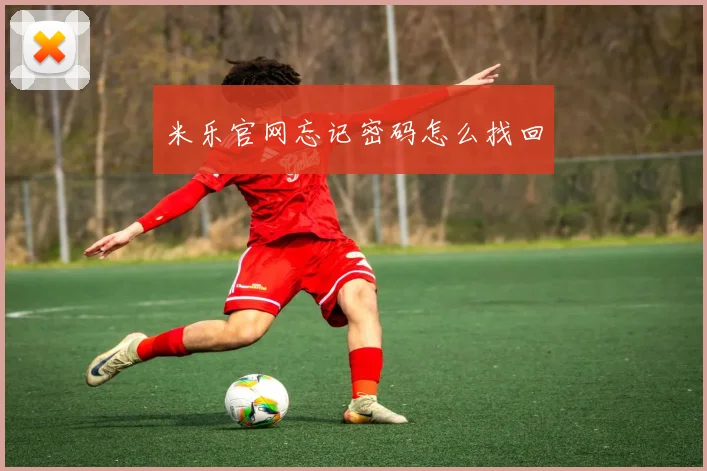 米乐官网忘记密码怎么找回